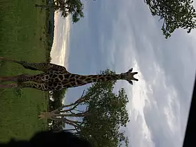 cascate-vittoria-ua1y8