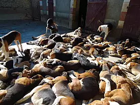 castelli-della-loira-francia-daqse