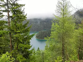 castello-di-neuschwanstein-vfz8s