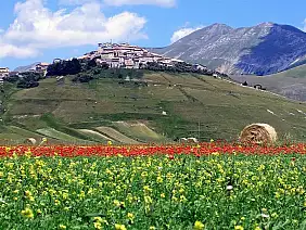 castelluccio-di-norcia-56gzm