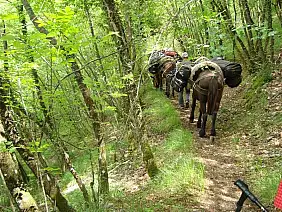 castelluccio-di-norcia-kr8ck