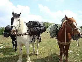 castelluccio-di-norcia-va1q3
