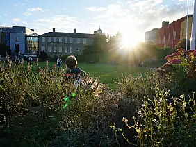 causeway-giants-panorama-ysyd1