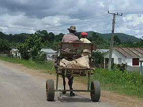 cayo-guillermo-fk116