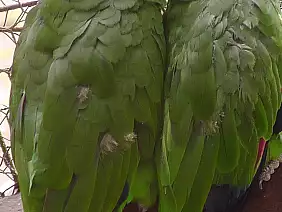 cayos-cochinos-s2jvv