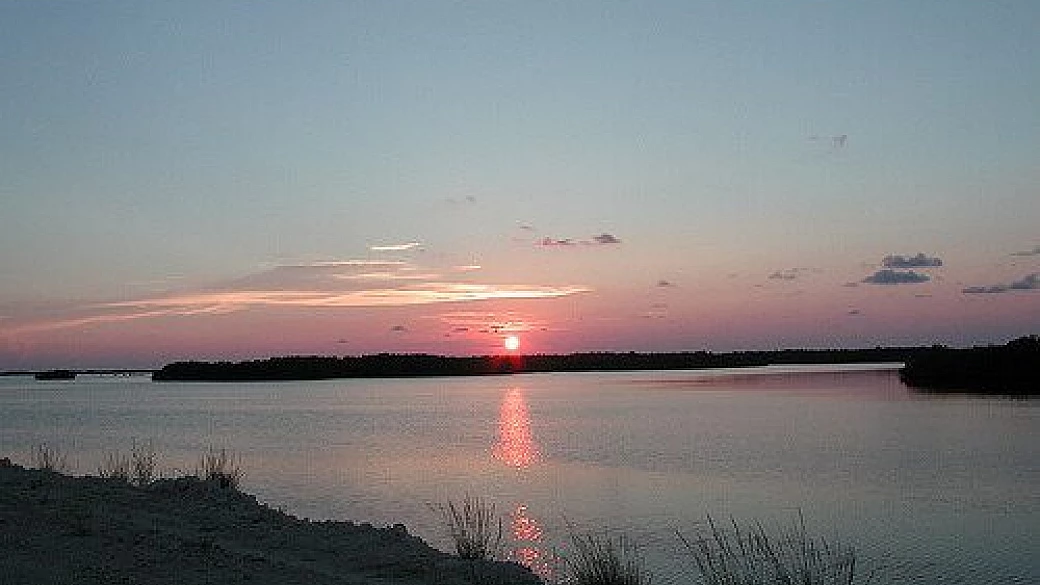 california,nevada,utah e arizona