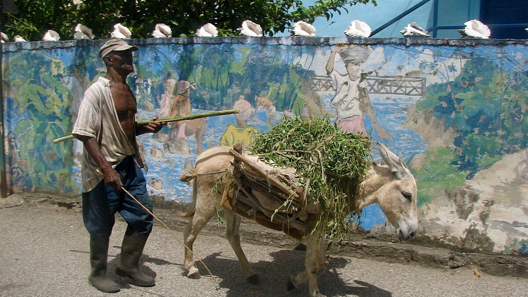 st. lucia in un week-end