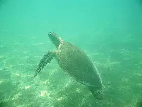 cenote-dos-ojos-nhnfa