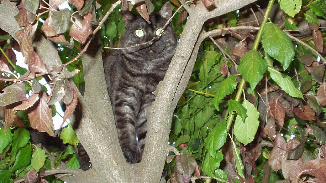 risparmiare viaggiando: firenze-siena-s.gimignano