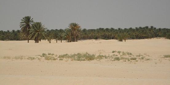 deserto del sahara 3