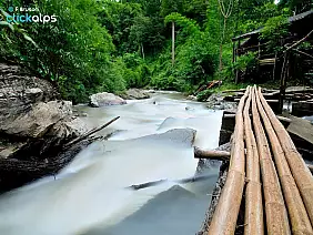 chiang-mai-natura-2e71v