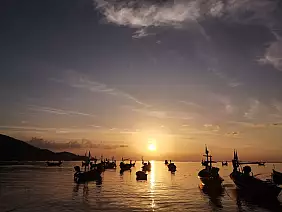 chiang-mai-natura-8t8w1