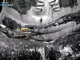 chiang-mai-natura-cz1cn