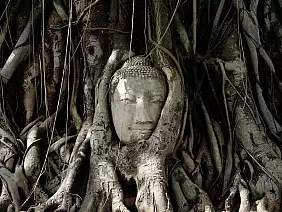 chiang-mai-natura-hg916