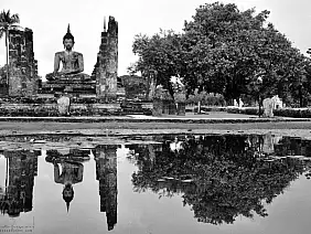 chiang-mai-natura-nyf66