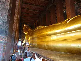 chiang-mai-natura-tvmk1