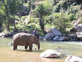 chiang-mai-natura-x496u