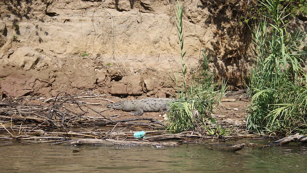 messico, amore a prima vista 2