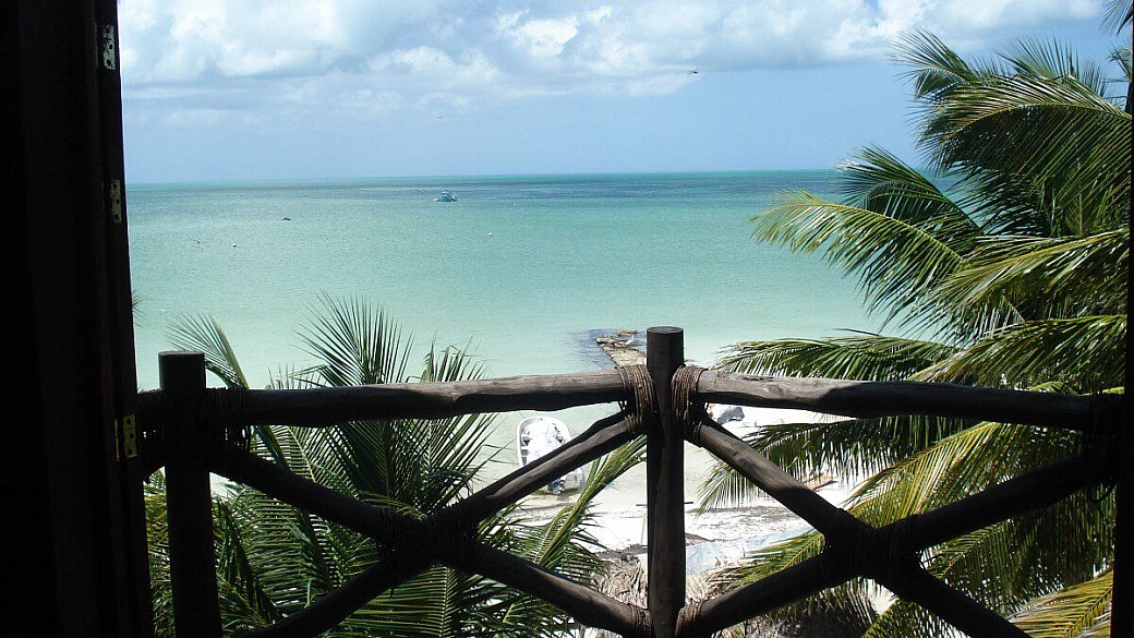 hasta la vista messico