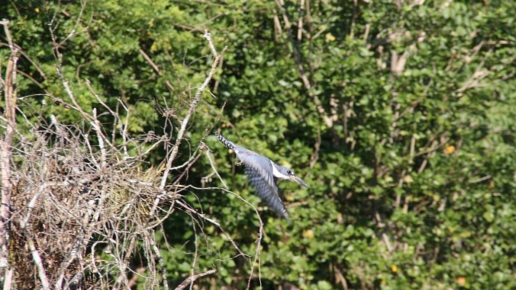 luna di miele in messico