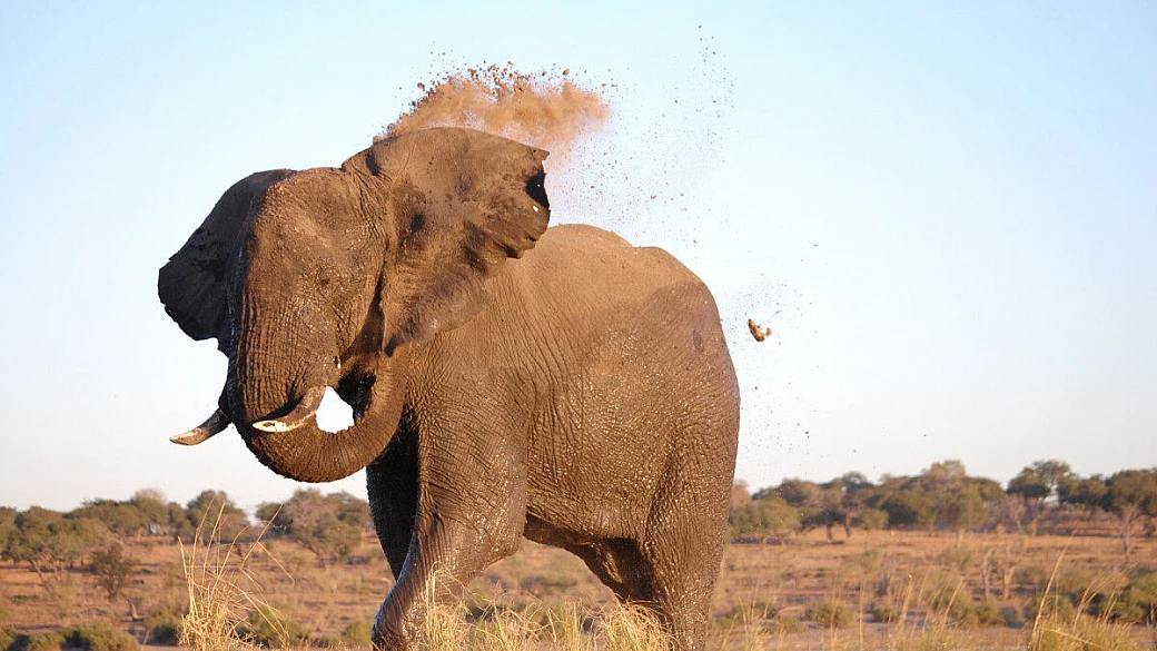 botswana, la terra del popolo tswana