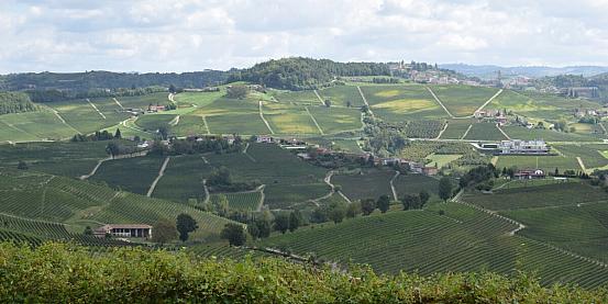il paesaggio vitivinicolo delle langhe