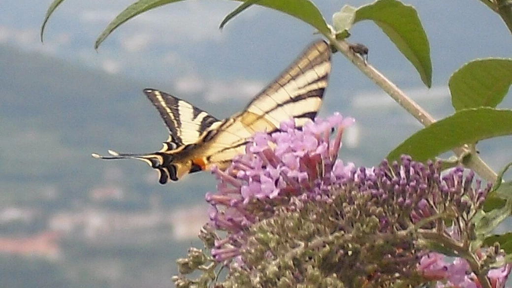 meravigliose costa del sud e costa verde, sardegna