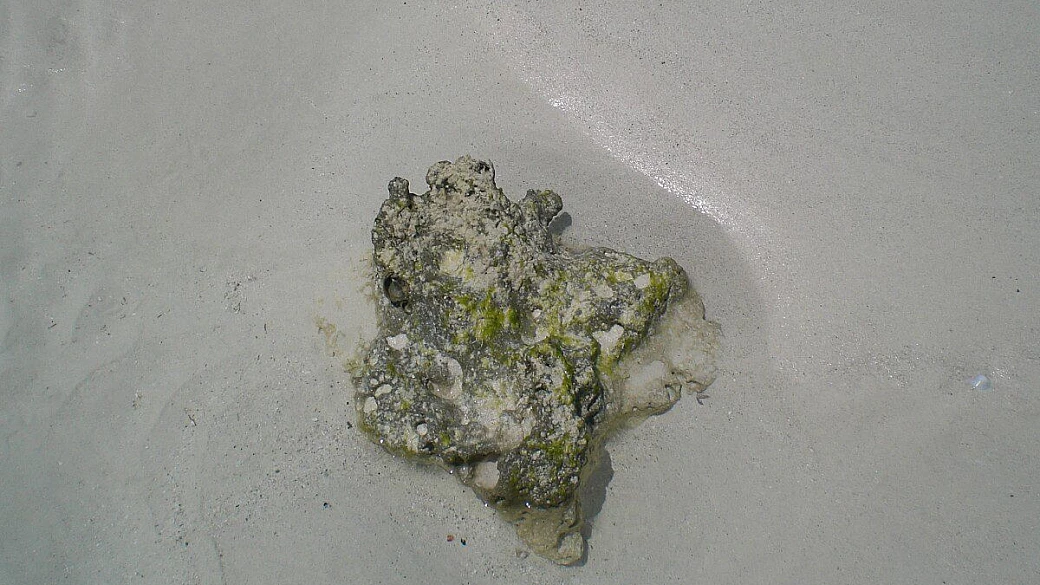 destinazione paradiso