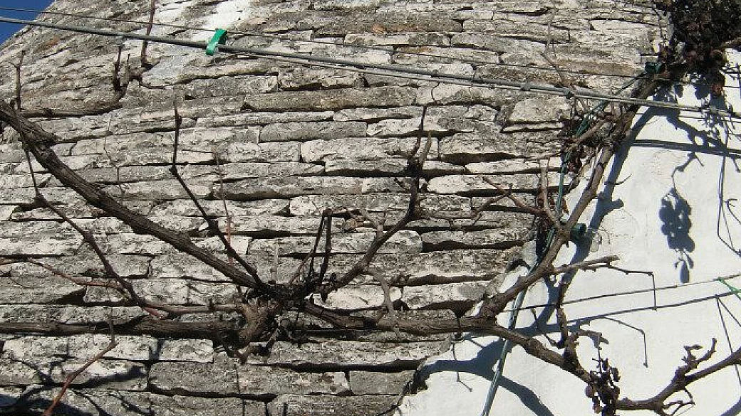 stromboli l'isola di iddu