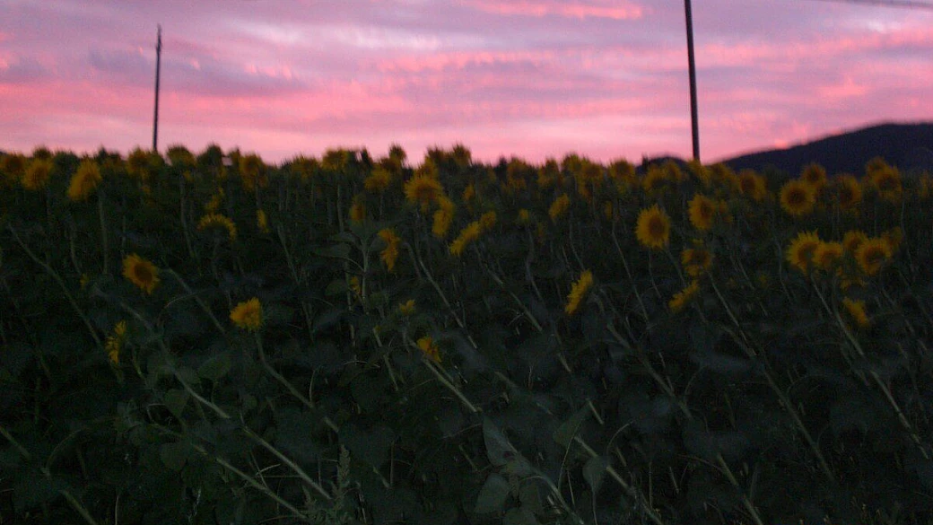leuca e dintorni...lu sule, lu mare, lu ientu