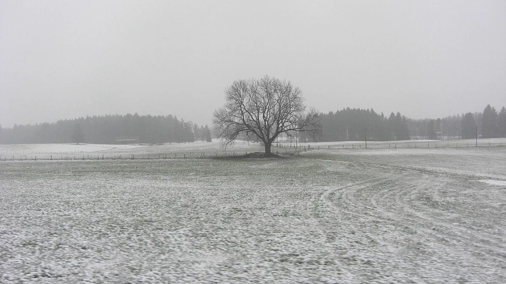 strada delle alpi e strada romantica
