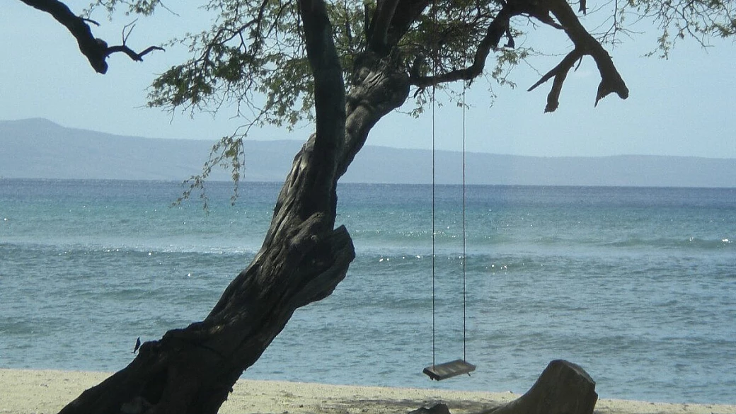 8200 km tra i parchi dell'ovest americano