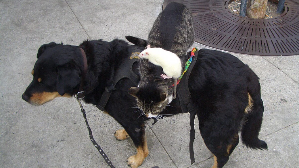 ny una settimana non basta