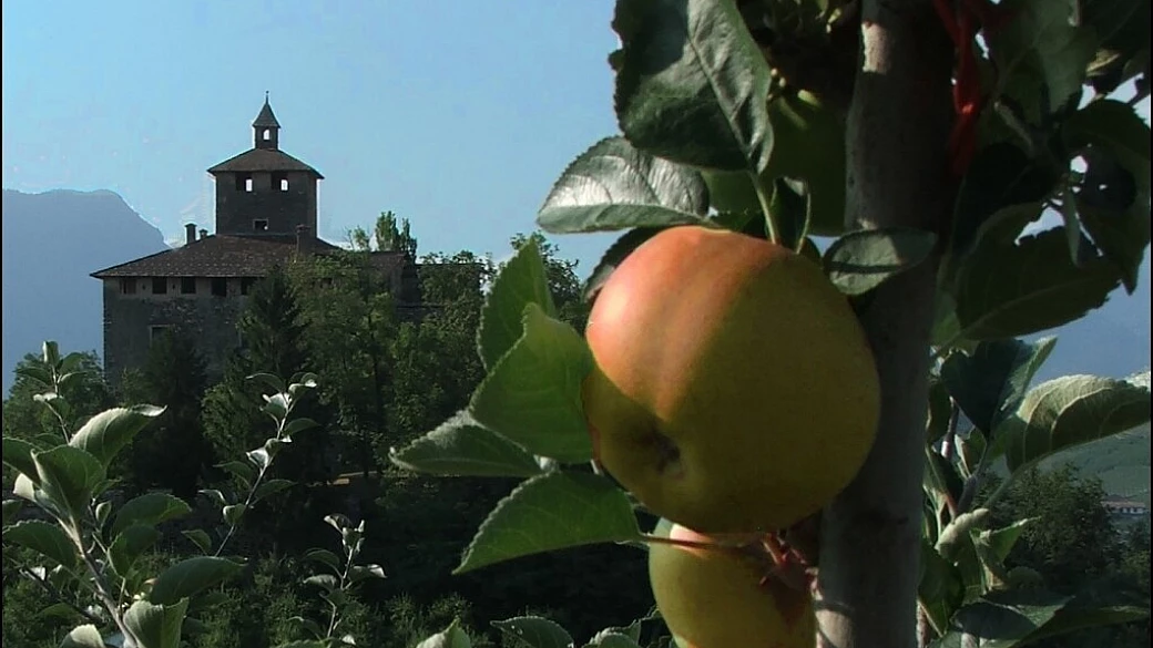 in trentino per la festa della mela