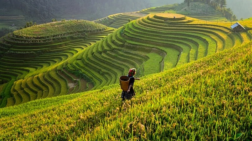 cosa vedere nel sud est asiatico: 10 attrazioni top