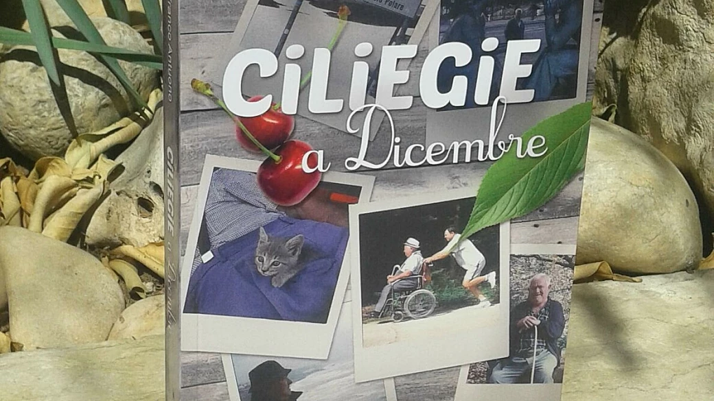 ciliegie a dicembre, una storia di viaggi e di amicizia