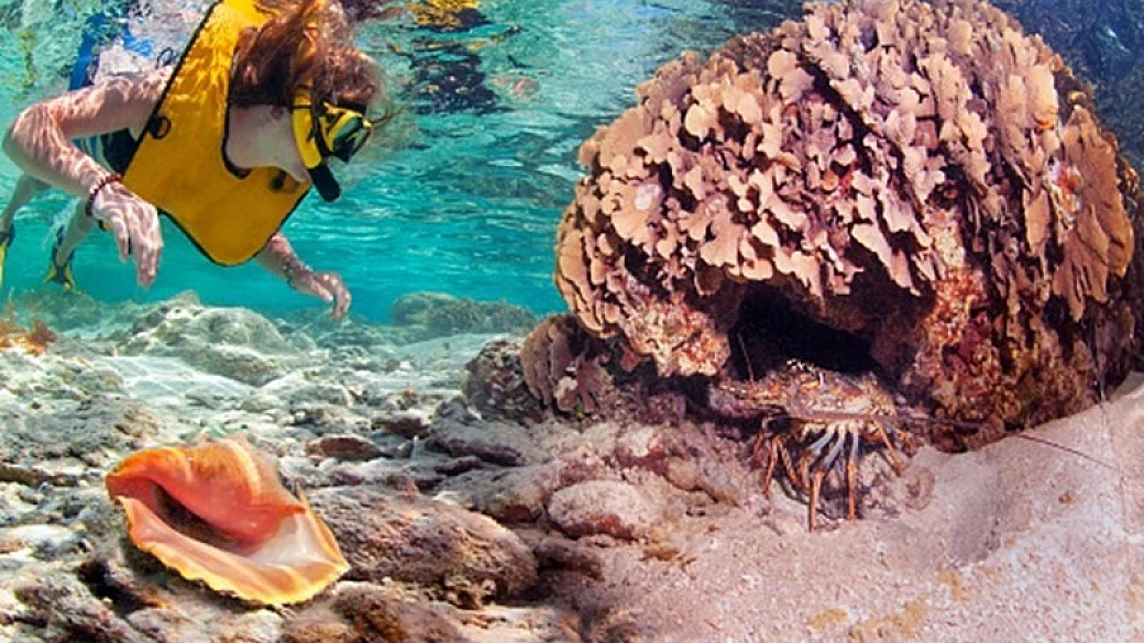 che cosa è lo snorkeling?