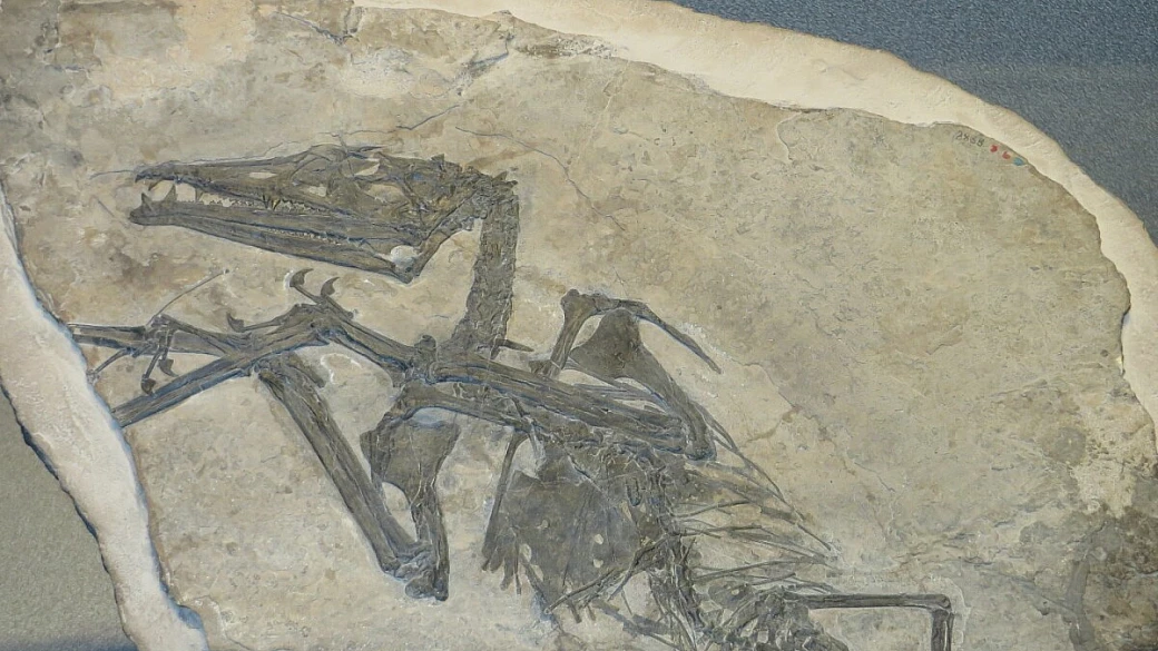 dinosauro in 3d vola a new york