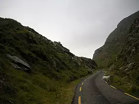 cliff-of-moher-panorama-86zwt