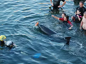 cliffs-of-moher-e-doolin-panorama-3adbx
