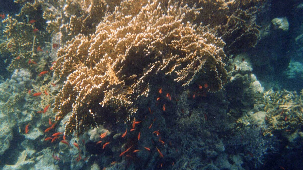 crociera sul nilo e marsa alam