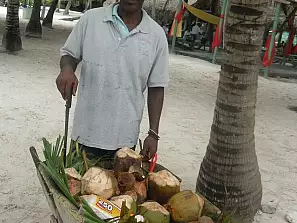 venditore di cocco 2