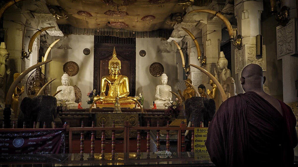 tour nel colorato sri lanka