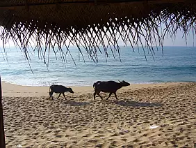 colombo-region-q1ehz