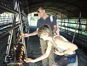 colombo-region-swhze