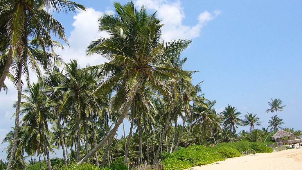 sri lanka low cost e fai da te