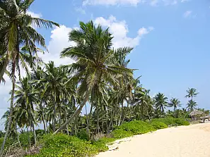 tangalle 2