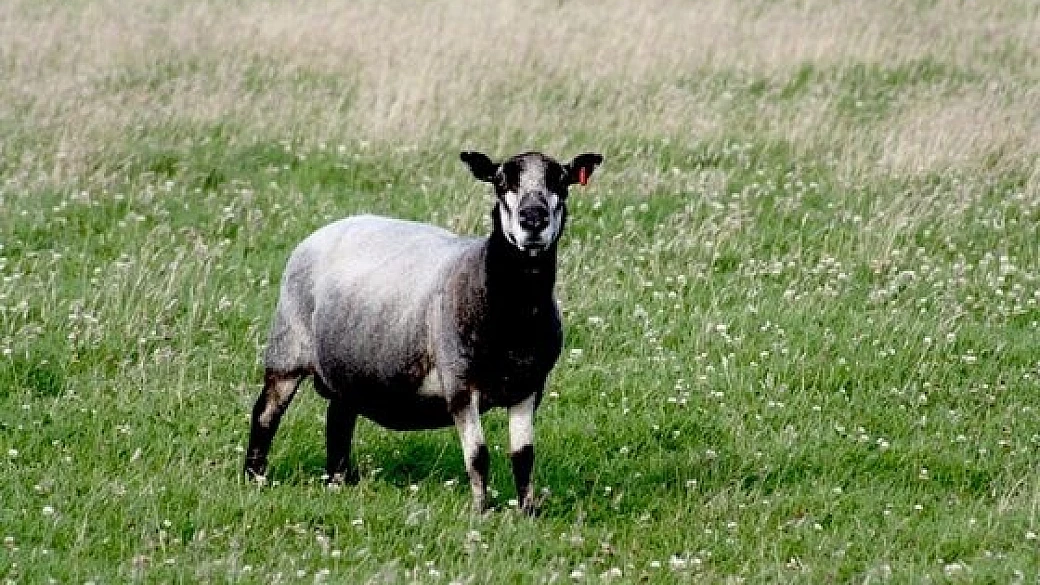 a spasso per il sud ovest inglese