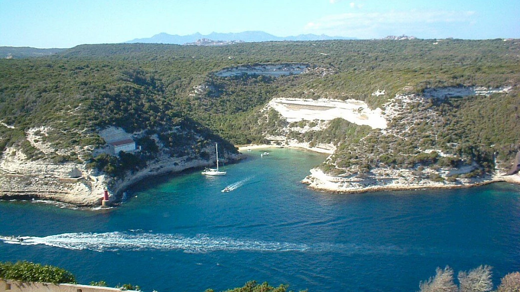 walkorse, cammina con me