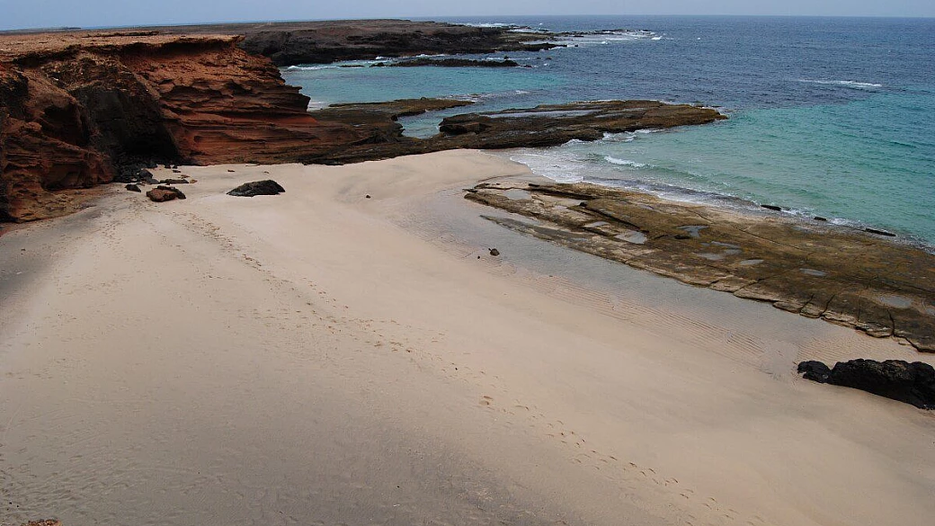 fuerteventura anche in sedia rotelle